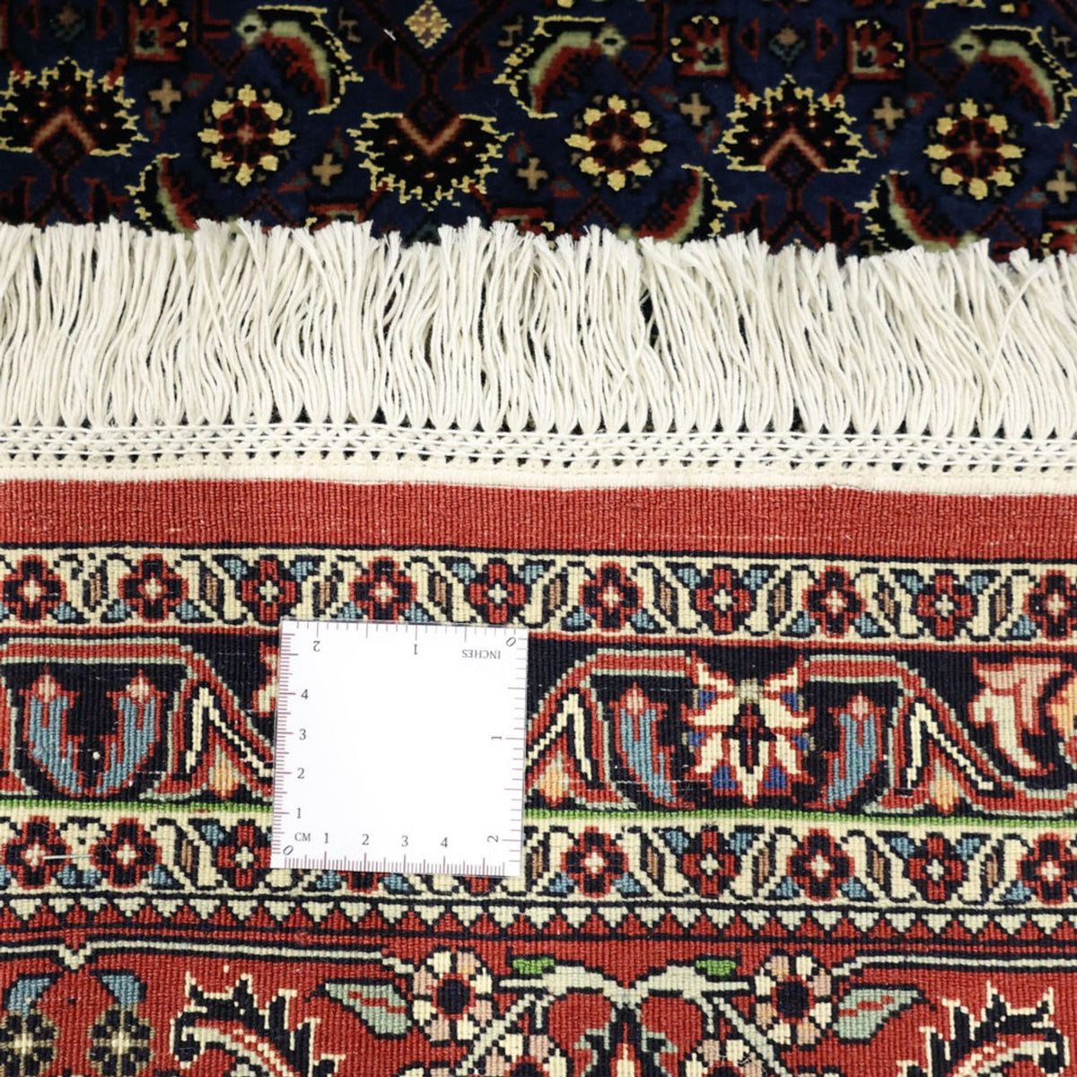 Alfombra persa - Bidjar - Real - 319 x 256 cm - azul oscuro