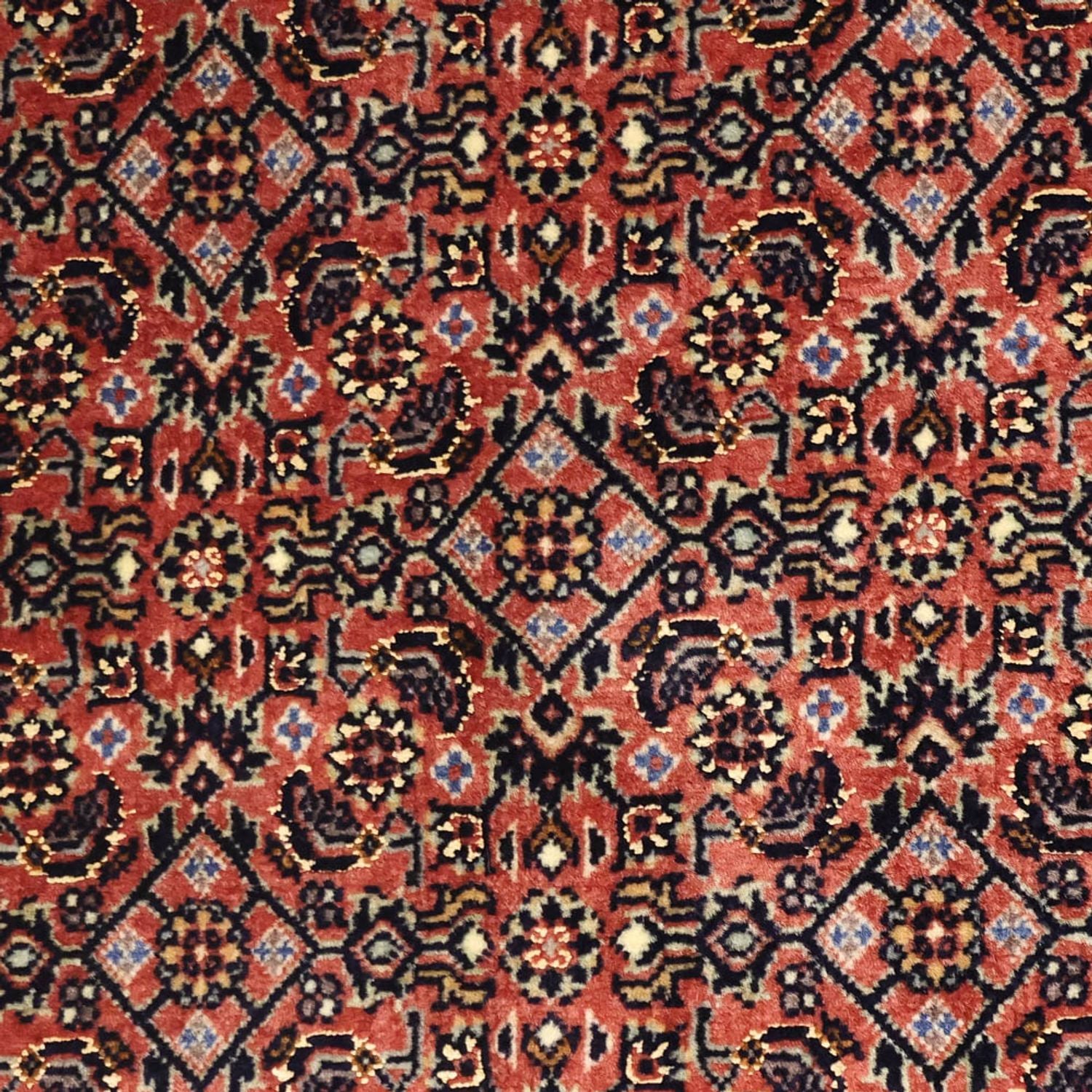 Alfombra persa - Bidjar - 148 x 90 cm - óxido