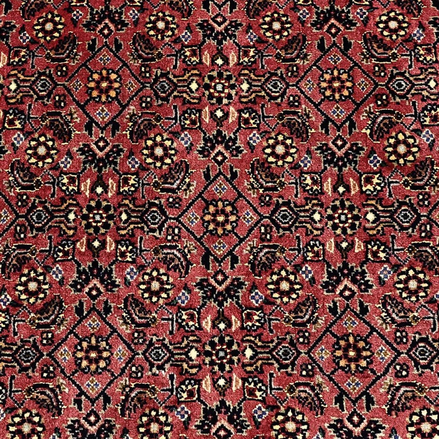 Alfombra persa - Bidjar - Real - 204 x 152 cm - beige oscuro