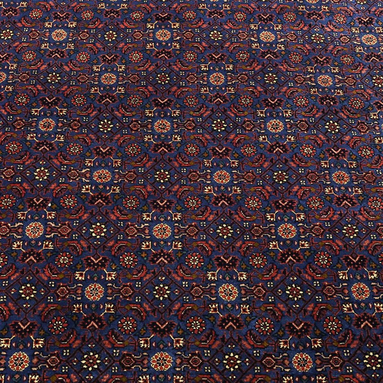 Alfombra persa - Bidjar - Real - 286 x 255 cm - azul oscuro