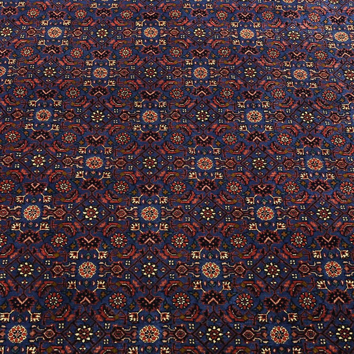 Alfombra persa - Bidjar - Real - 286 x 255 cm - azul oscuro