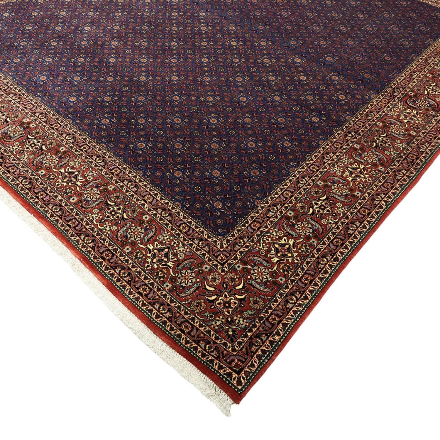 Alfombra persa - Bidjar - Real - 286 x 255 cm - azul oscuro
