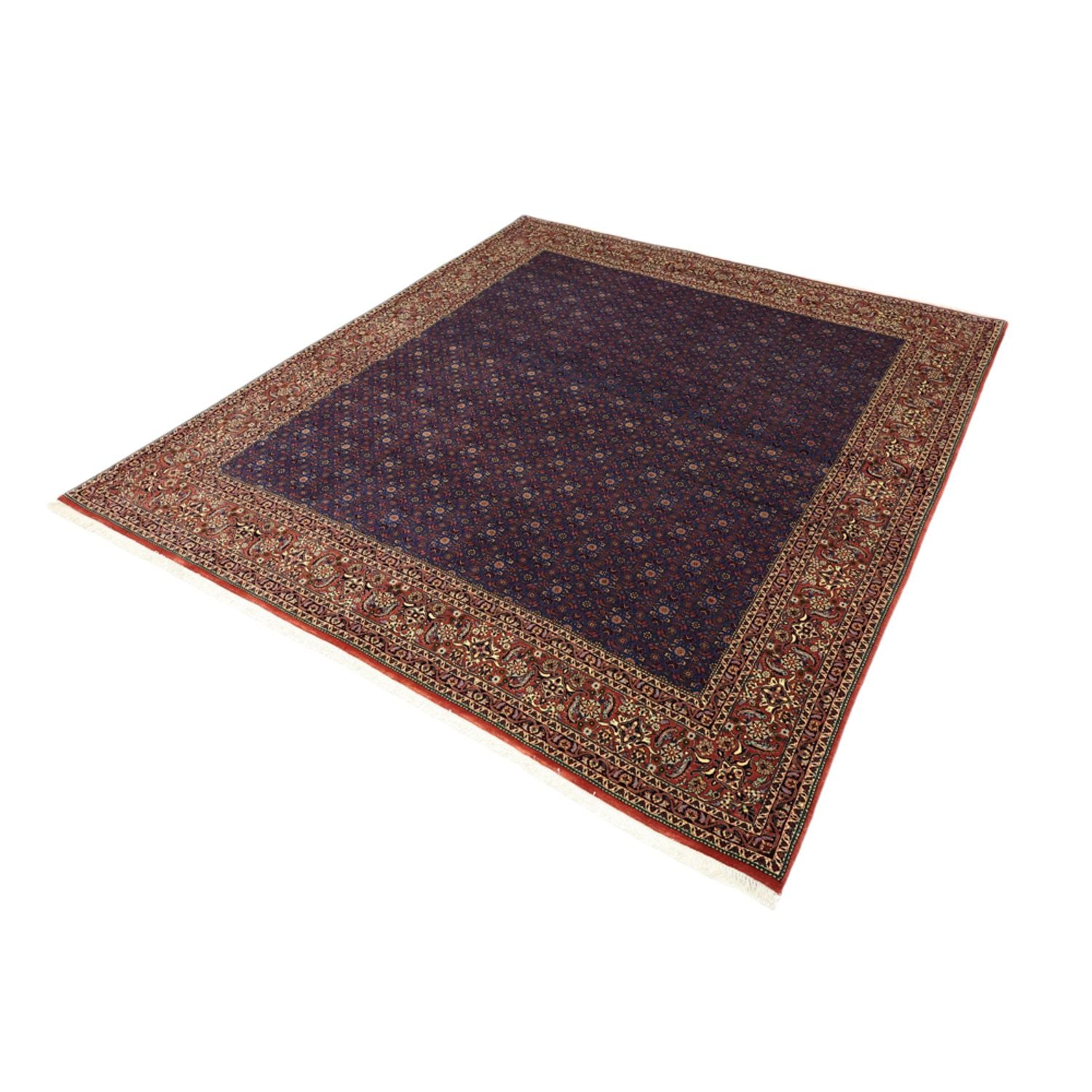 Alfombra persa - Bidjar - Real - 286 x 255 cm - azul oscuro