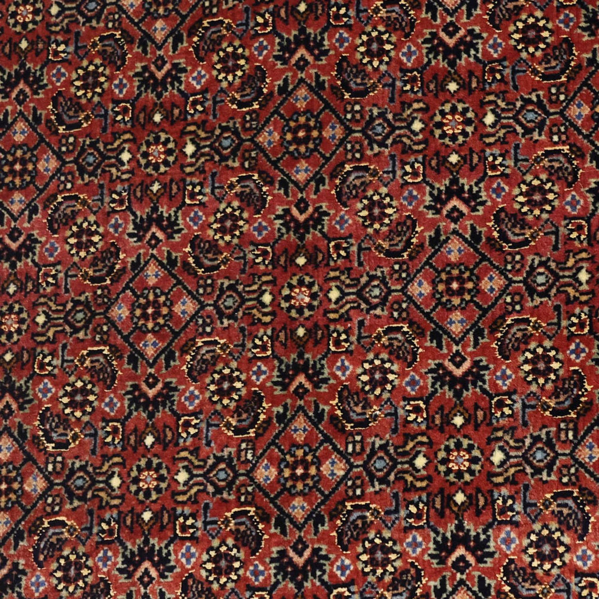 Alfombra persa - Bidjar - Real - 148 x 91 cm - beige oscuro