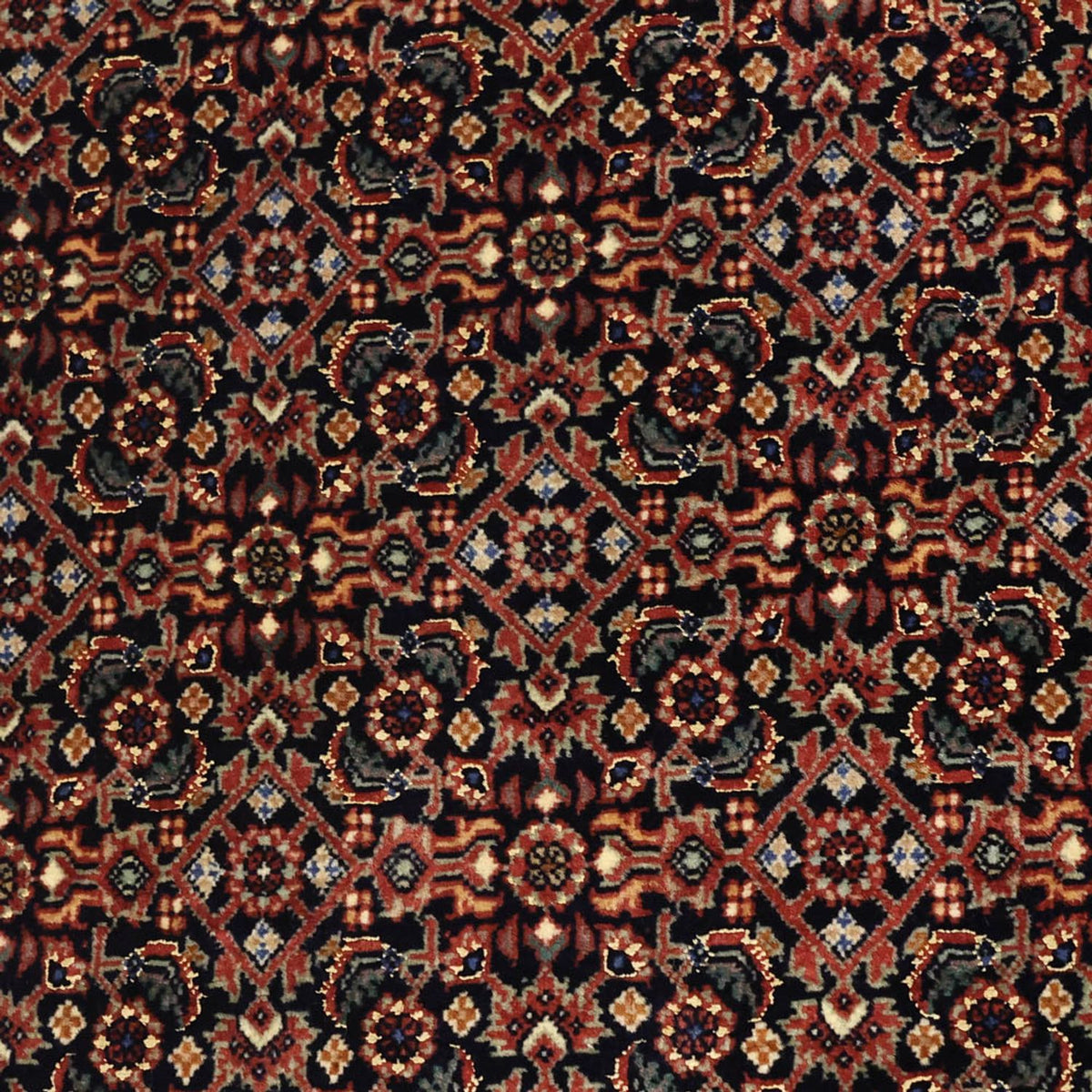 Alfombra persa - Bidjar - Real - 150 x 91 cm - beige oscuro