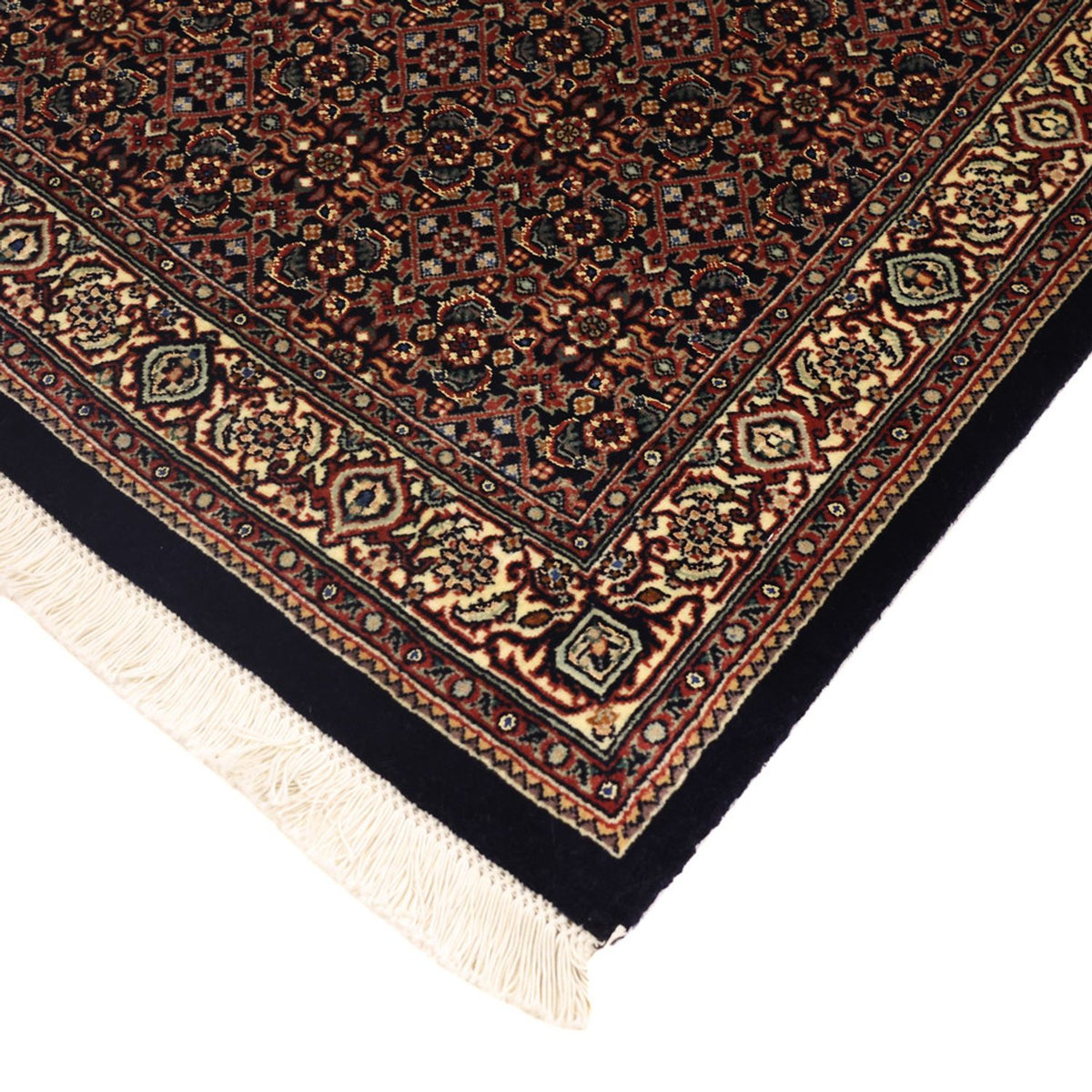 Alfombra persa - Bidjar - Real - 150 x 91 cm - beige oscuro