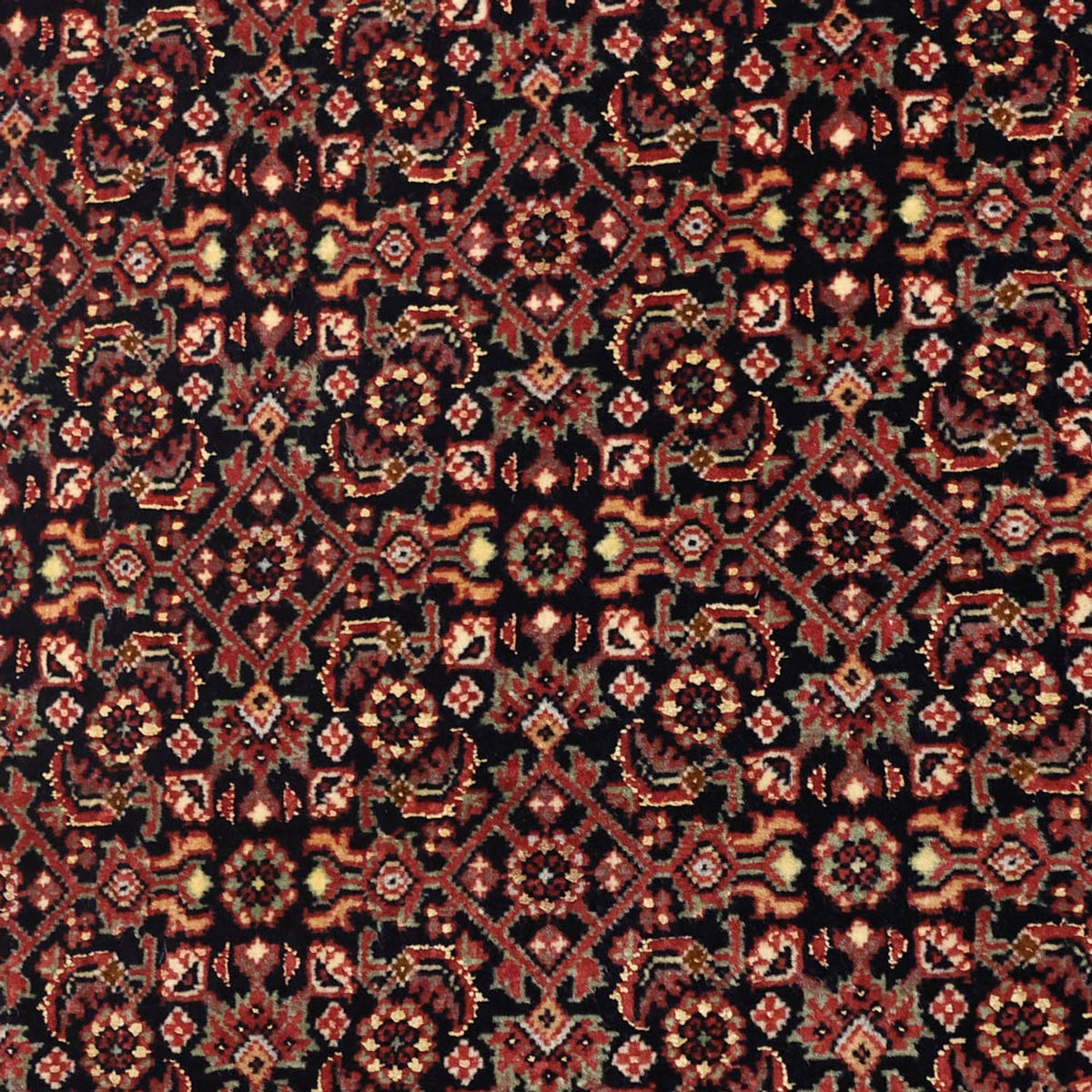 Alfombra persa - Bidjar - Real - 148 x 89 cm - beige oscuro