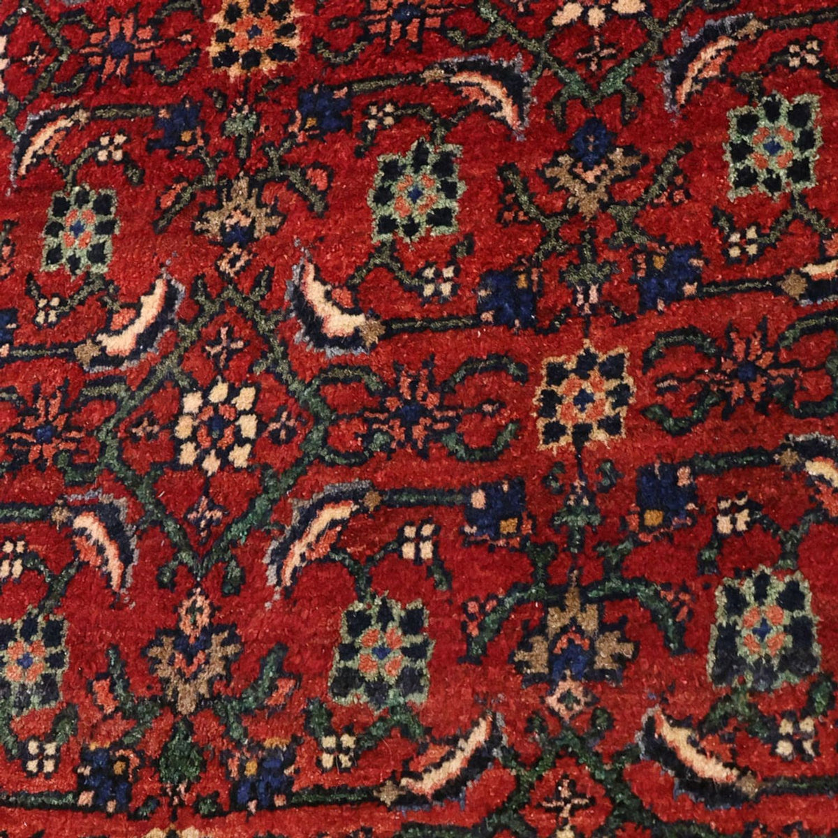 Alfombra persa - Bidjar - Real - 288 x 168 cm - rojo oscuro