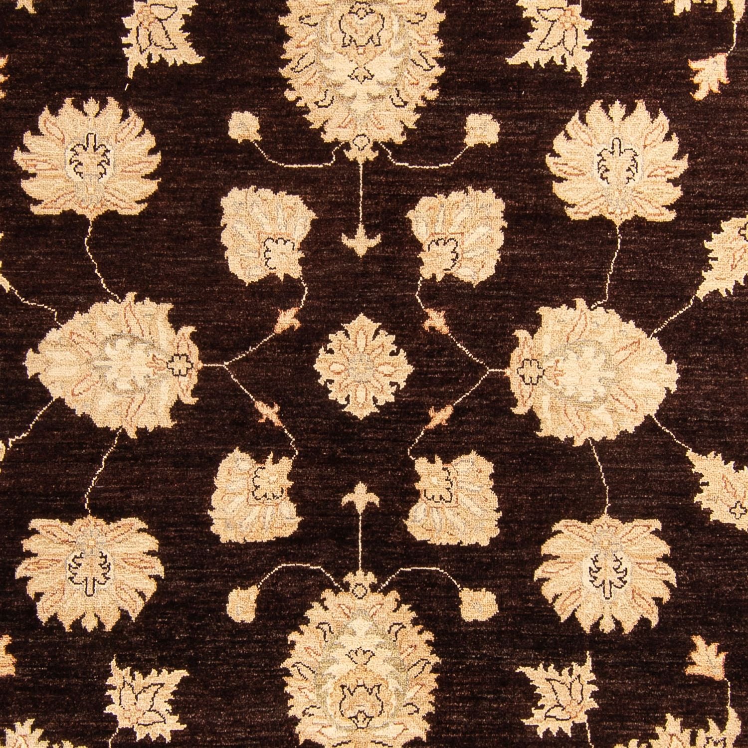 Alfombra Ziegler - 288 x 207 cm - marrón oscuro