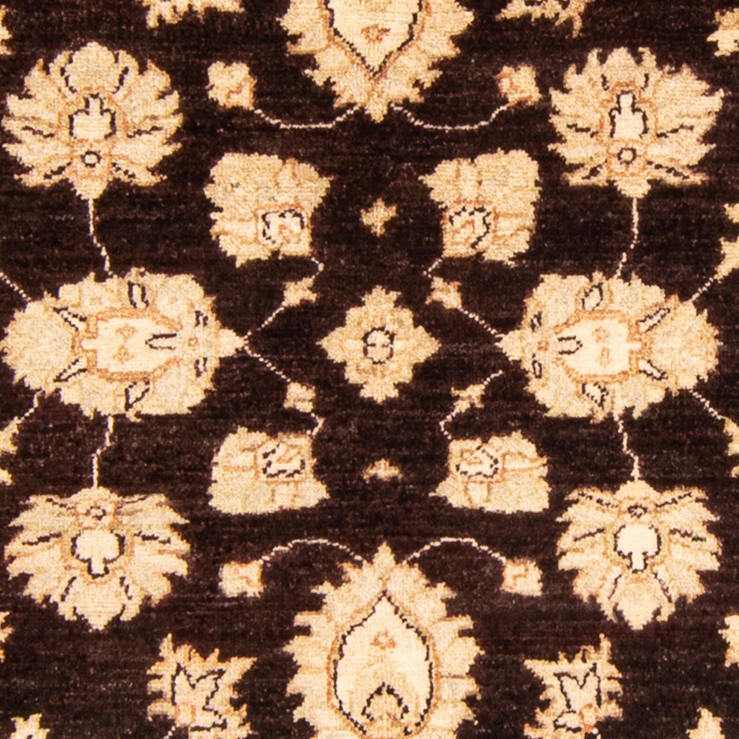 Alfombra Ziegler - 166 x 118 cm - marrón oscuro