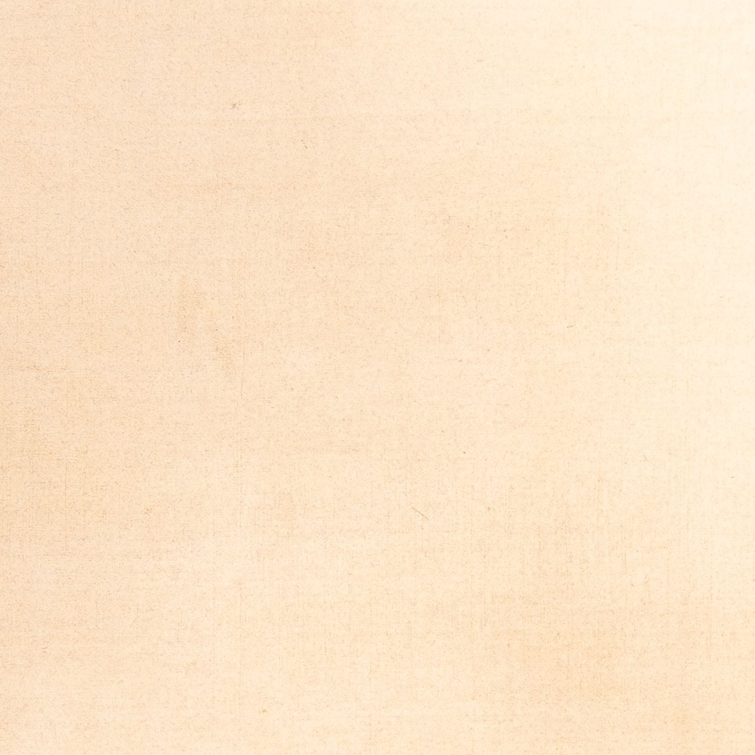 Alfombra Gabbeh - Softy - 288 x 205 cm - beige