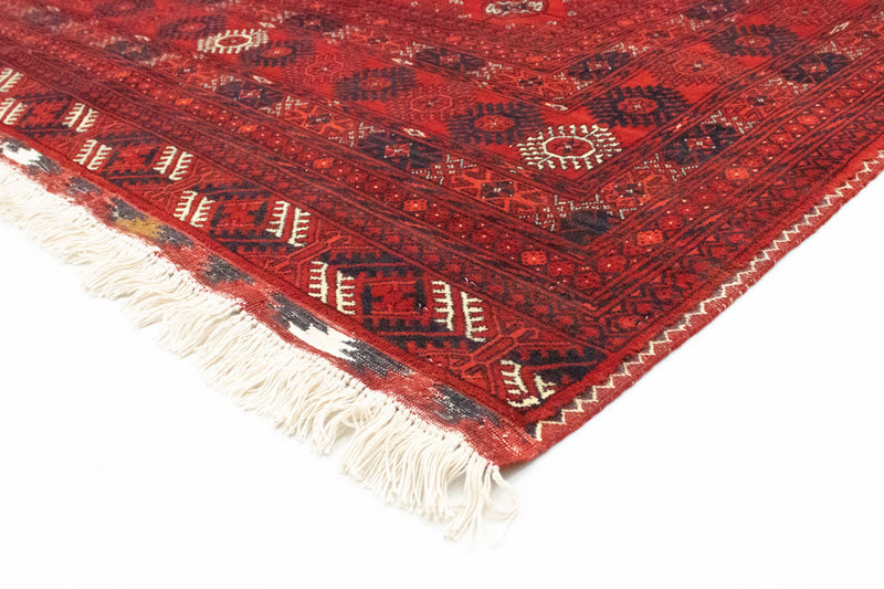 Alfombra afgana - Bukhara - 299 x 198 cm - rojo oscuro