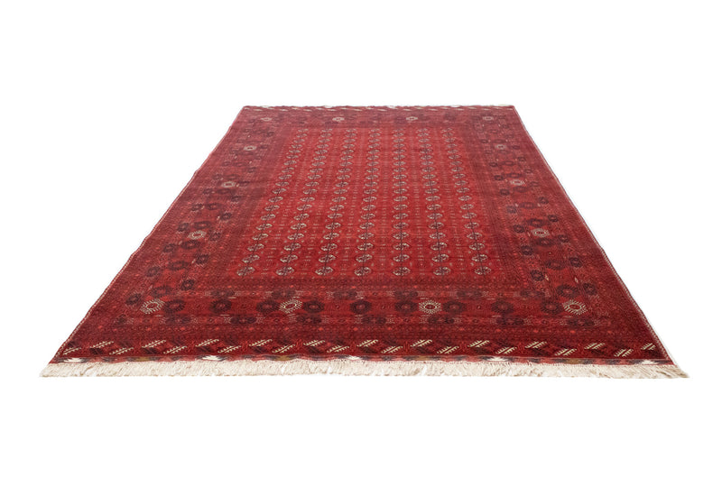 Alfombra afgana - Bukhara - 299 x 198 cm - rojo oscuro