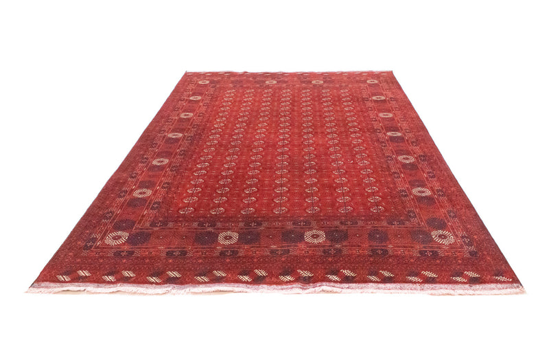Alfombra afgana - Bukhara - 292 x 196 cm - rojo oscuro