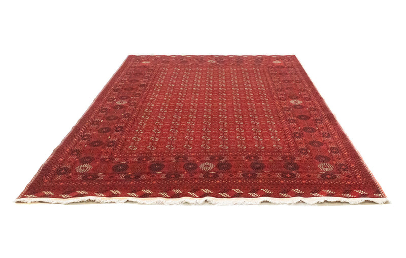 Alfombra afgana - Bukhara - 295 x 199 cm - rojo oscuro