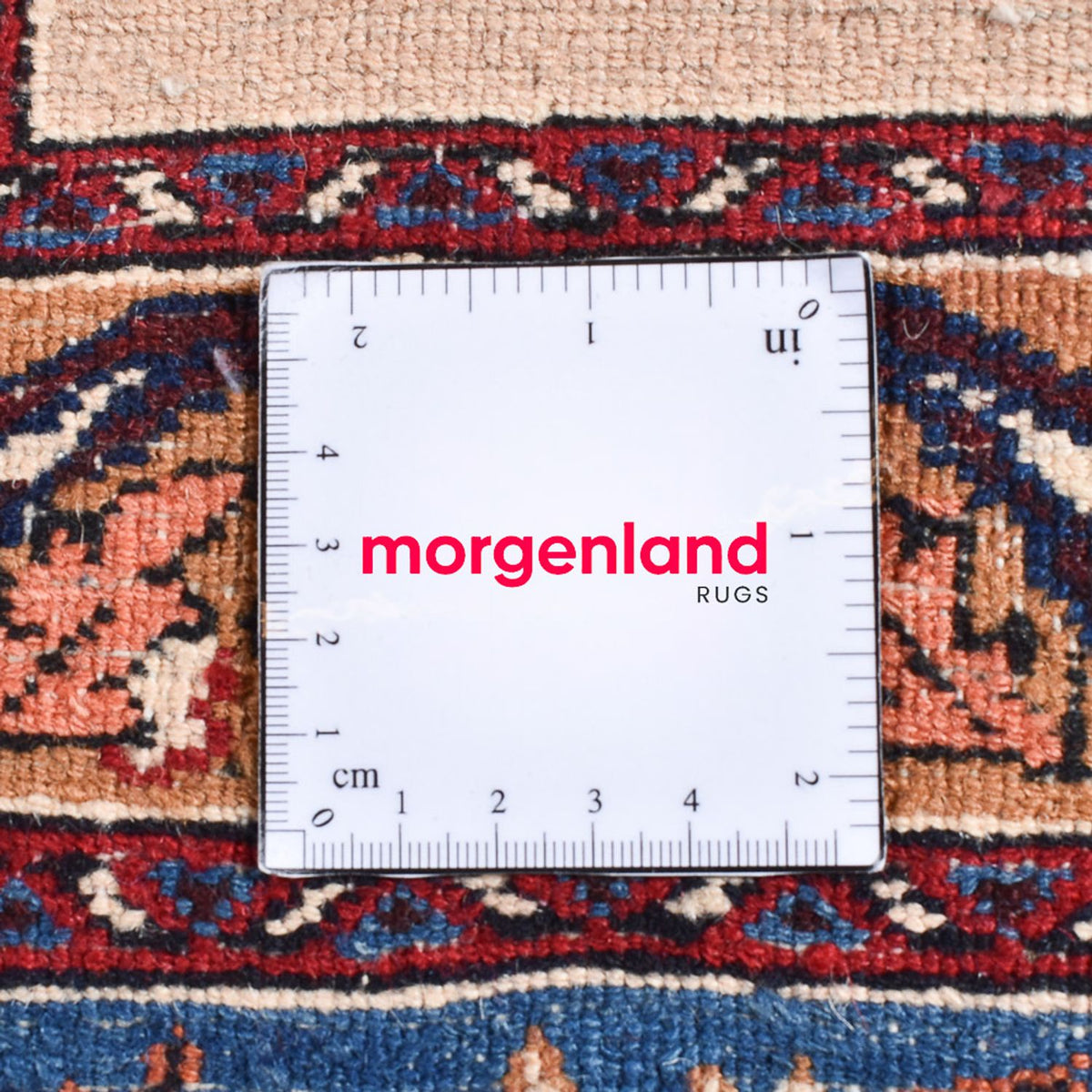 Alfombra persa - Clásica - 310 x 212 cm - azul oscuro