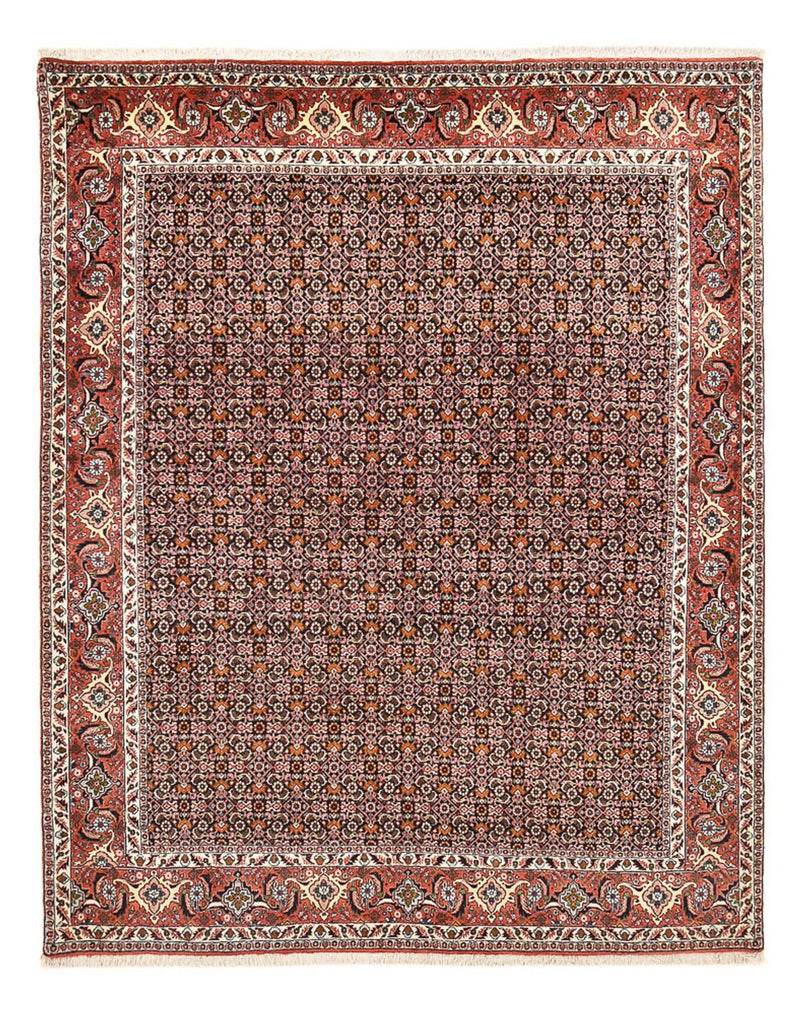 Alfombra persa - Bidjar - 264 x 204 cm - óxido