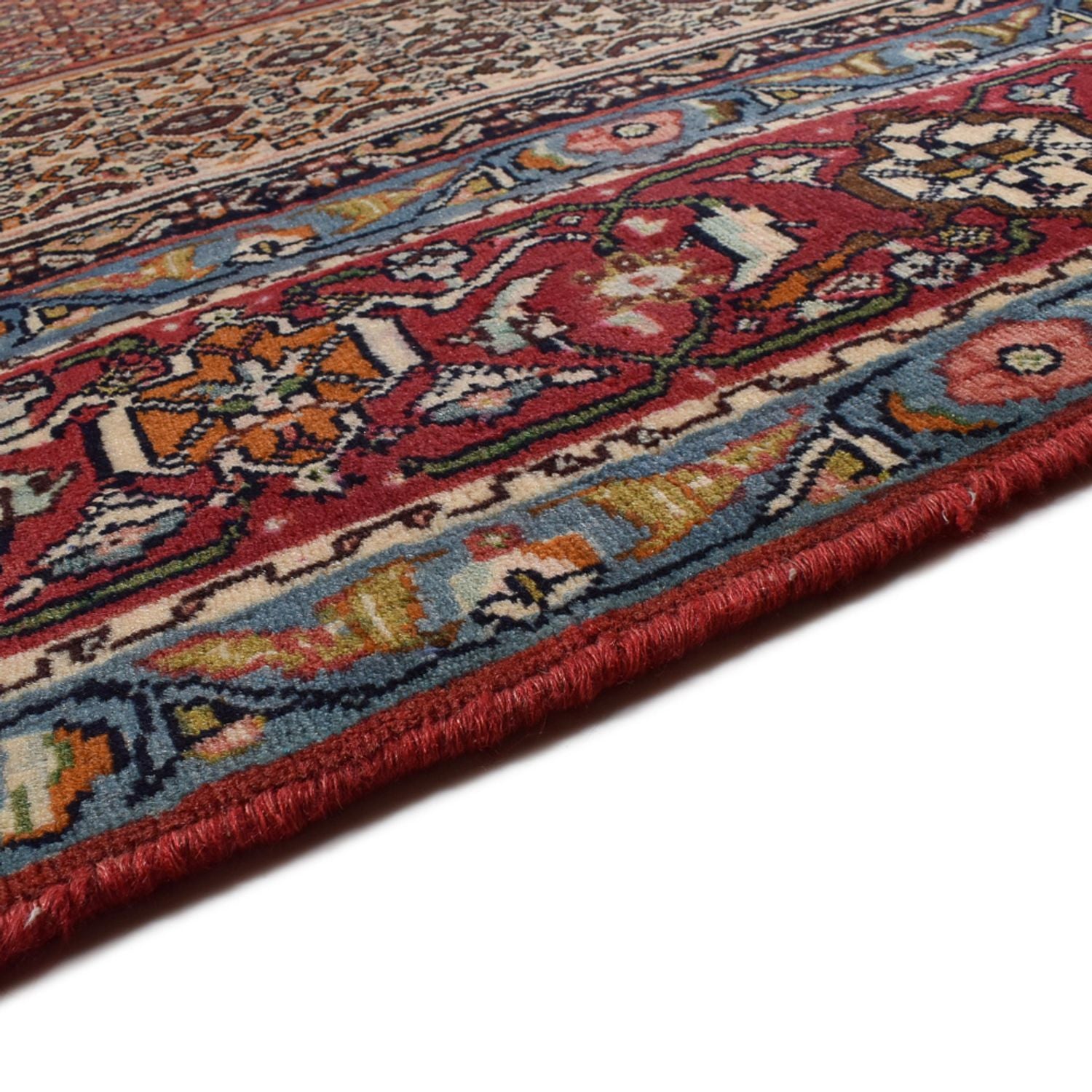 Alfombra persa - Clásica - 304 x 210 cm - multicolor