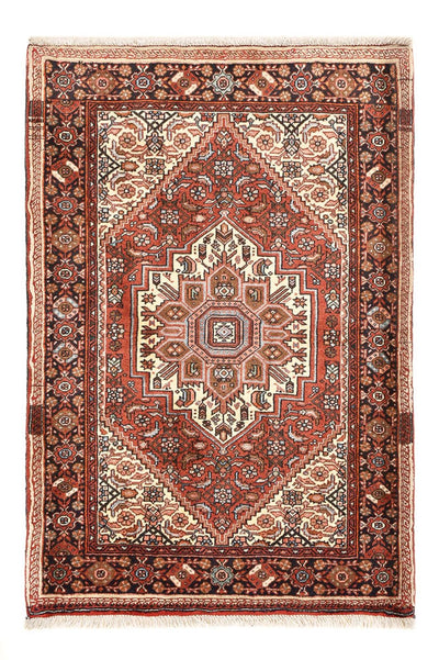 Gholtogh Alfombra 80x120cm - Alfombra persa