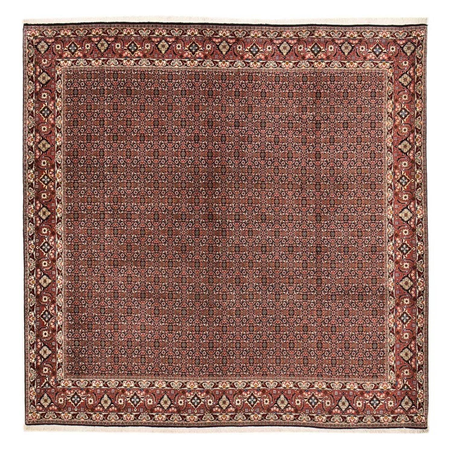 Alfombra persa - Bidjar cuadrado  - 303 x 293 cm - óxido