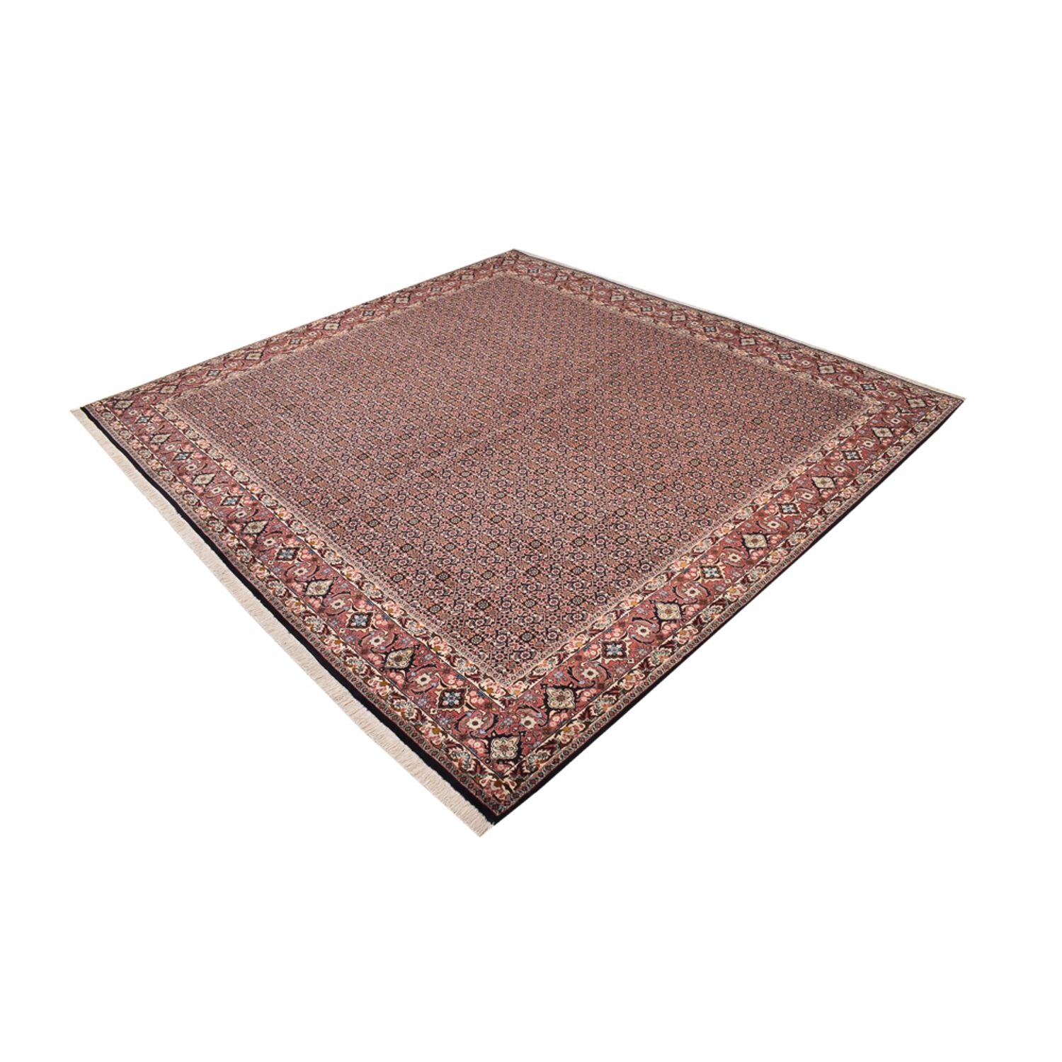 Alfombra persa - Bidjar cuadrado  - 303 x 293 cm - óxido