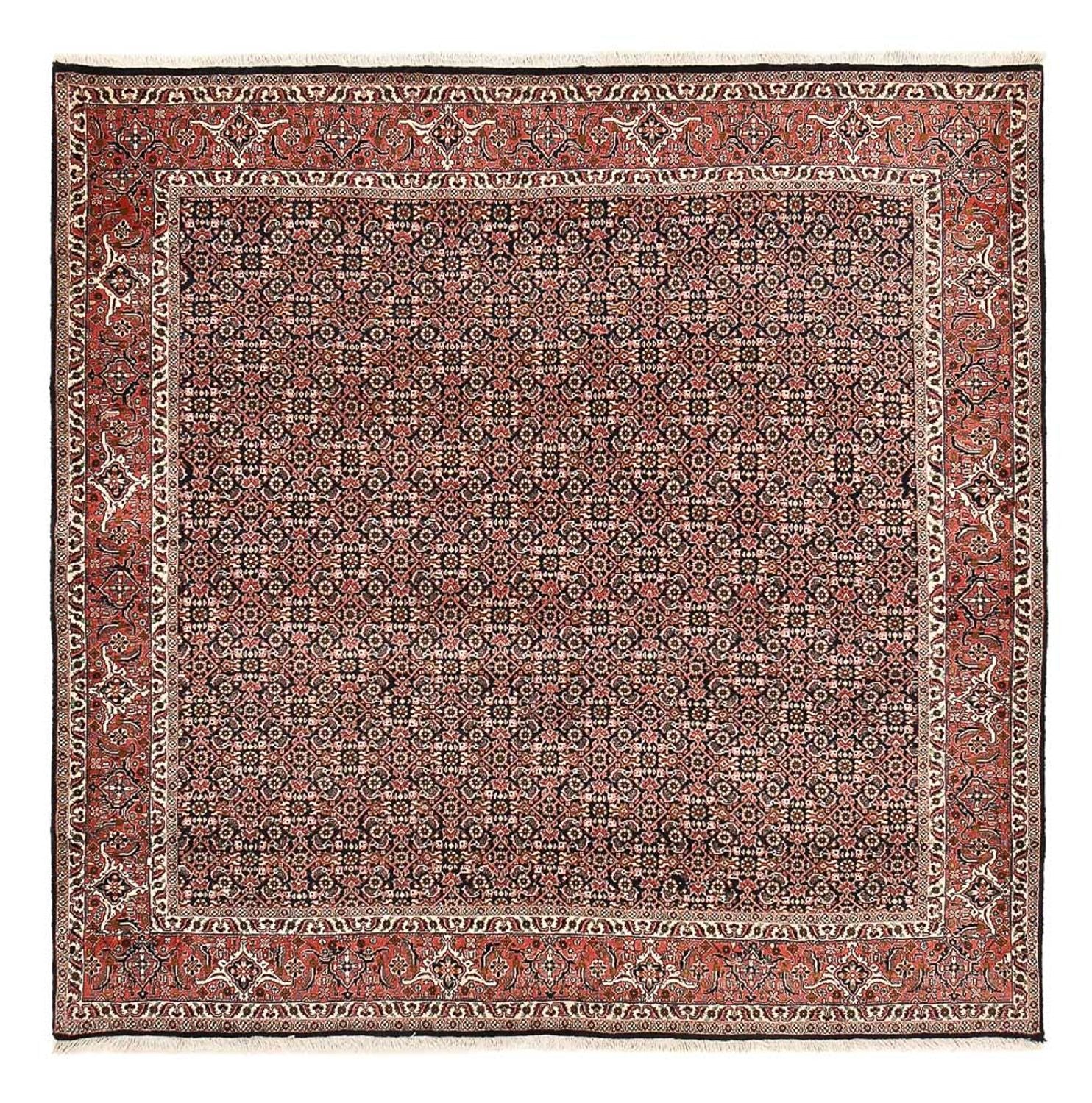 Alfombra persa - Bidjar cuadrado  - 205 x 205 cm - óxido