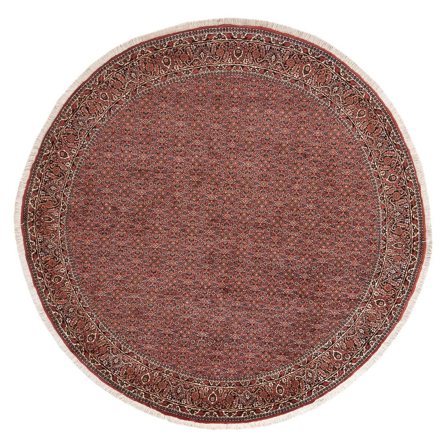 Alfombra persa - Bidjar redondo  - 255 x 255 cm - óxido