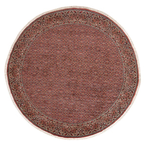Alfombra persa - Bidjar redondo  - 255 x 255 cm - óxido