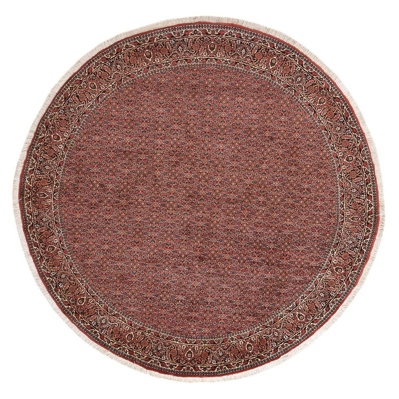 Alfombra persa - Bidjar redondo  - 255 x 255 cm - óxido
