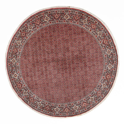 Bidjar Alfombra 300x300cm - Alfombra persa