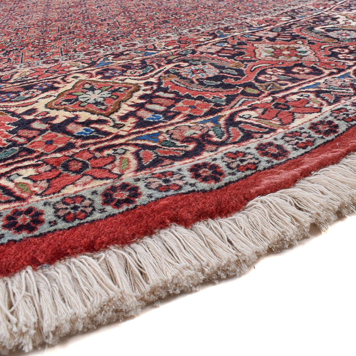Bidjar Alfombra 300x300cm - Alfombra persa