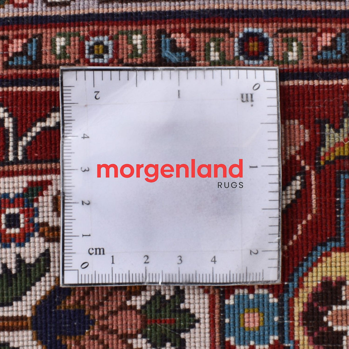 Alfombra Persa - Tabriz - Real - 250 x 178 cm - crema