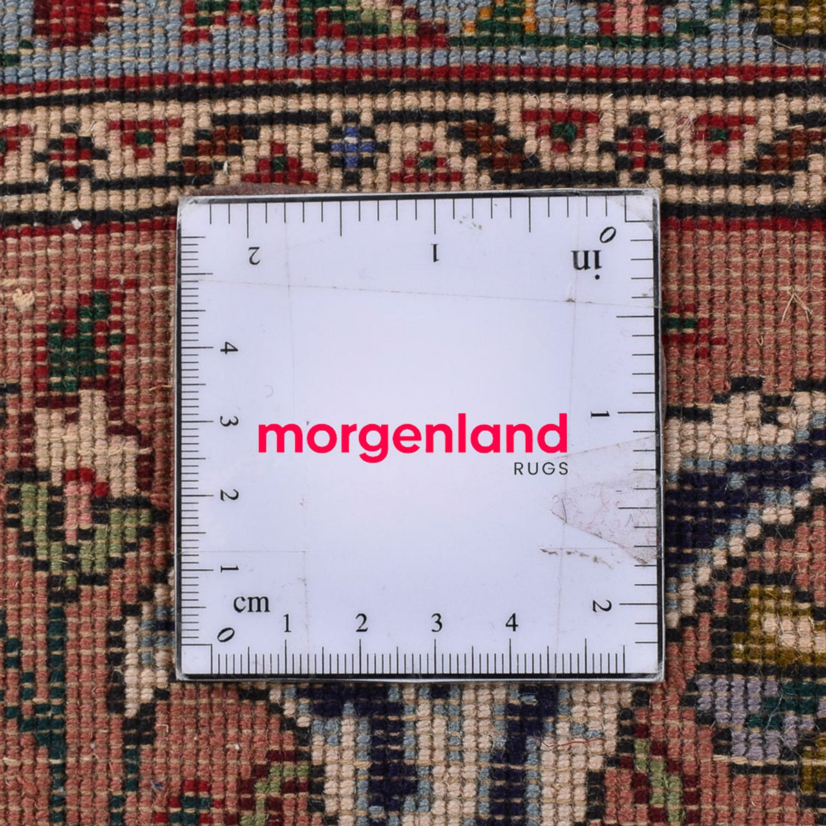 Alfombra Persa - Tabriz - Real - 345 x 245 cm - arena