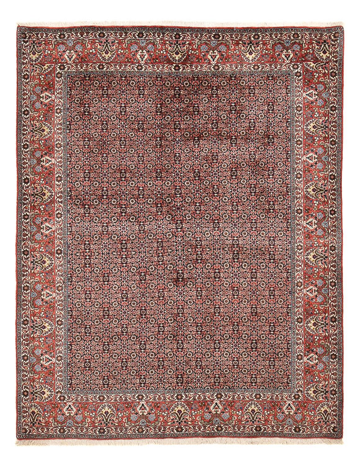 Alfombra persa - Bidjar - 247 x 194 cm - óxido