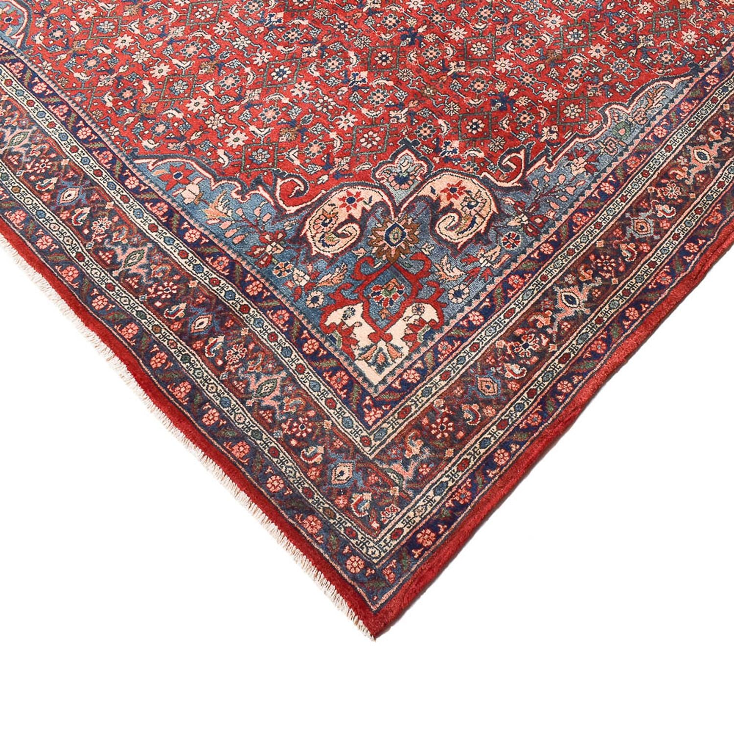 Alfombra persa - Bidjar - 300 x 221 cm - rojo claro
