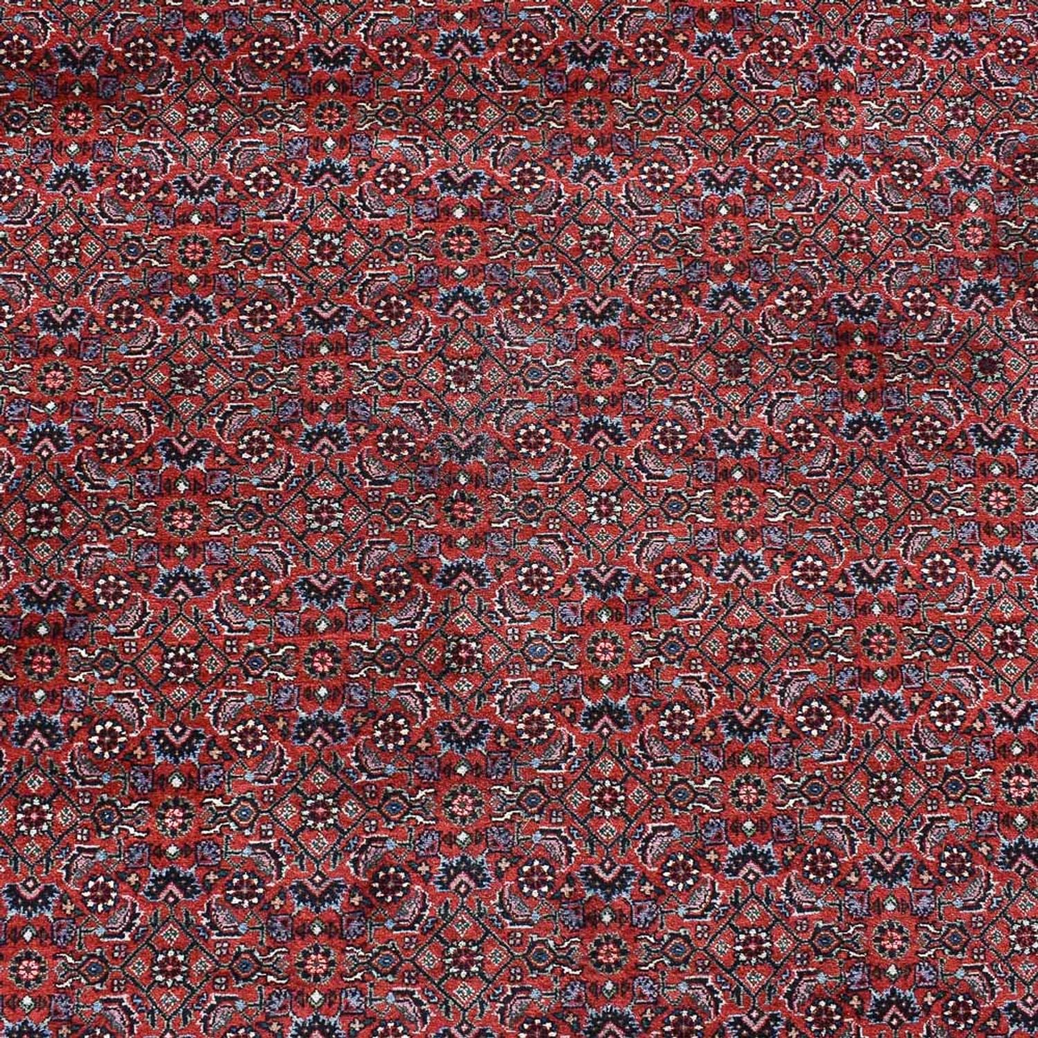 Alfombra persa - Bidjar - 490 x 350 cm - rojo burdeos