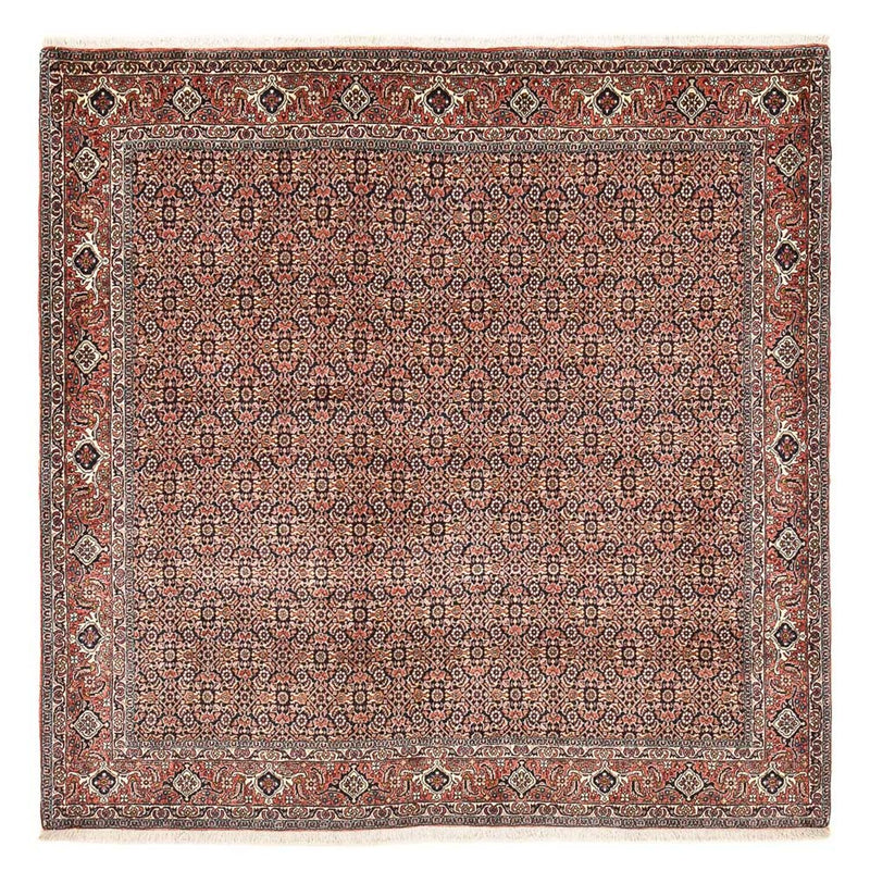 Alfombra persa - Bidjar cuadrado  - 204 x 203 cm - óxido