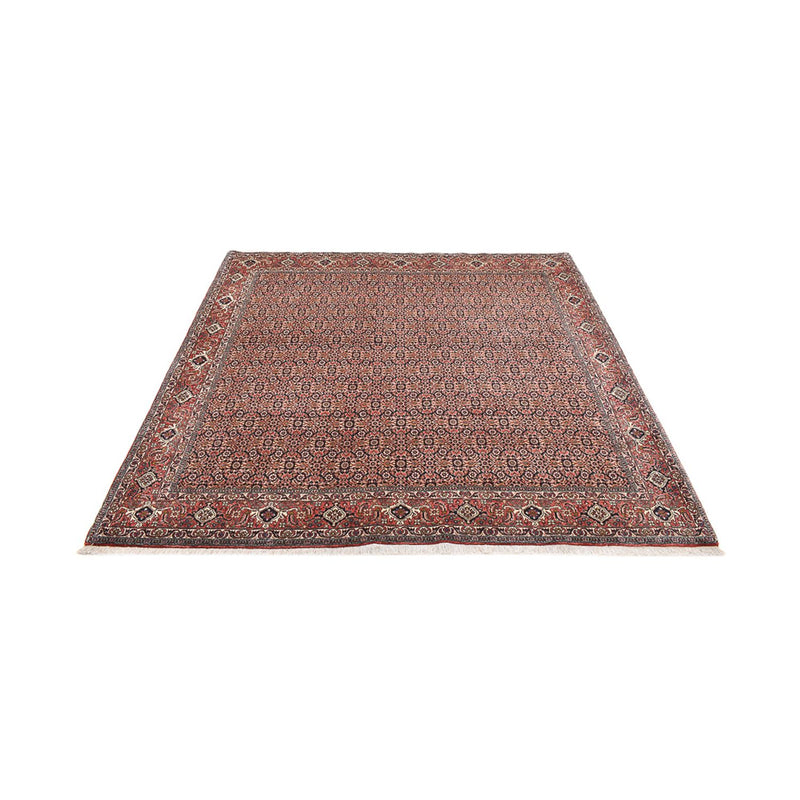 Alfombra persa - Bidjar cuadrado  - 204 x 203 cm - óxido