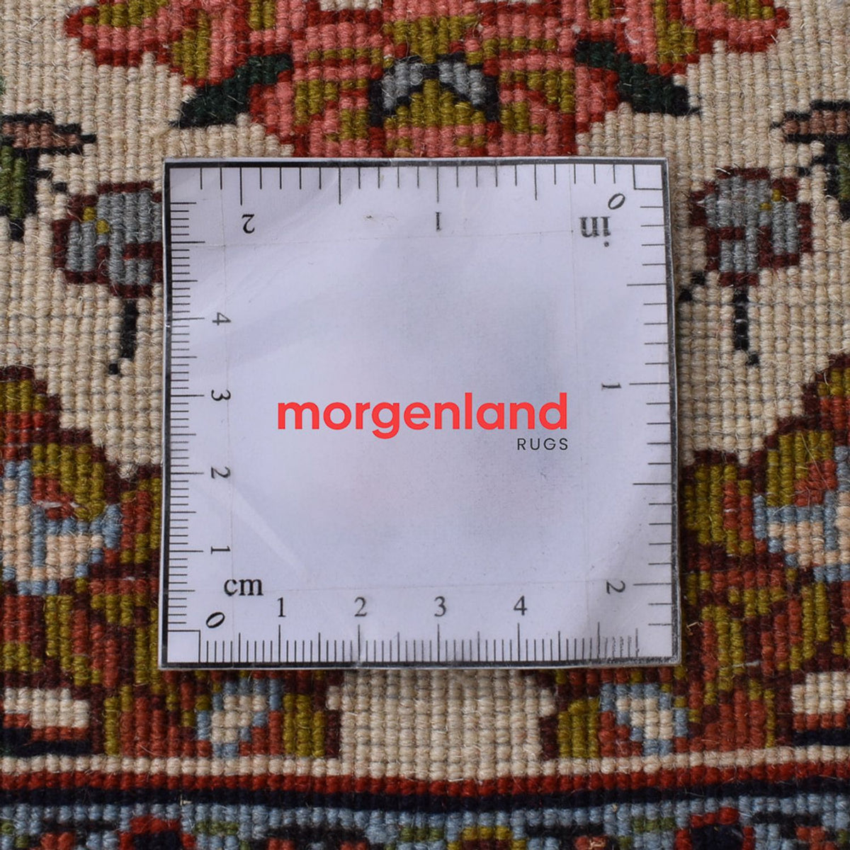 Alfombra de pasillo Alfombra persa - Clásica - 298 x 72 cm - arena