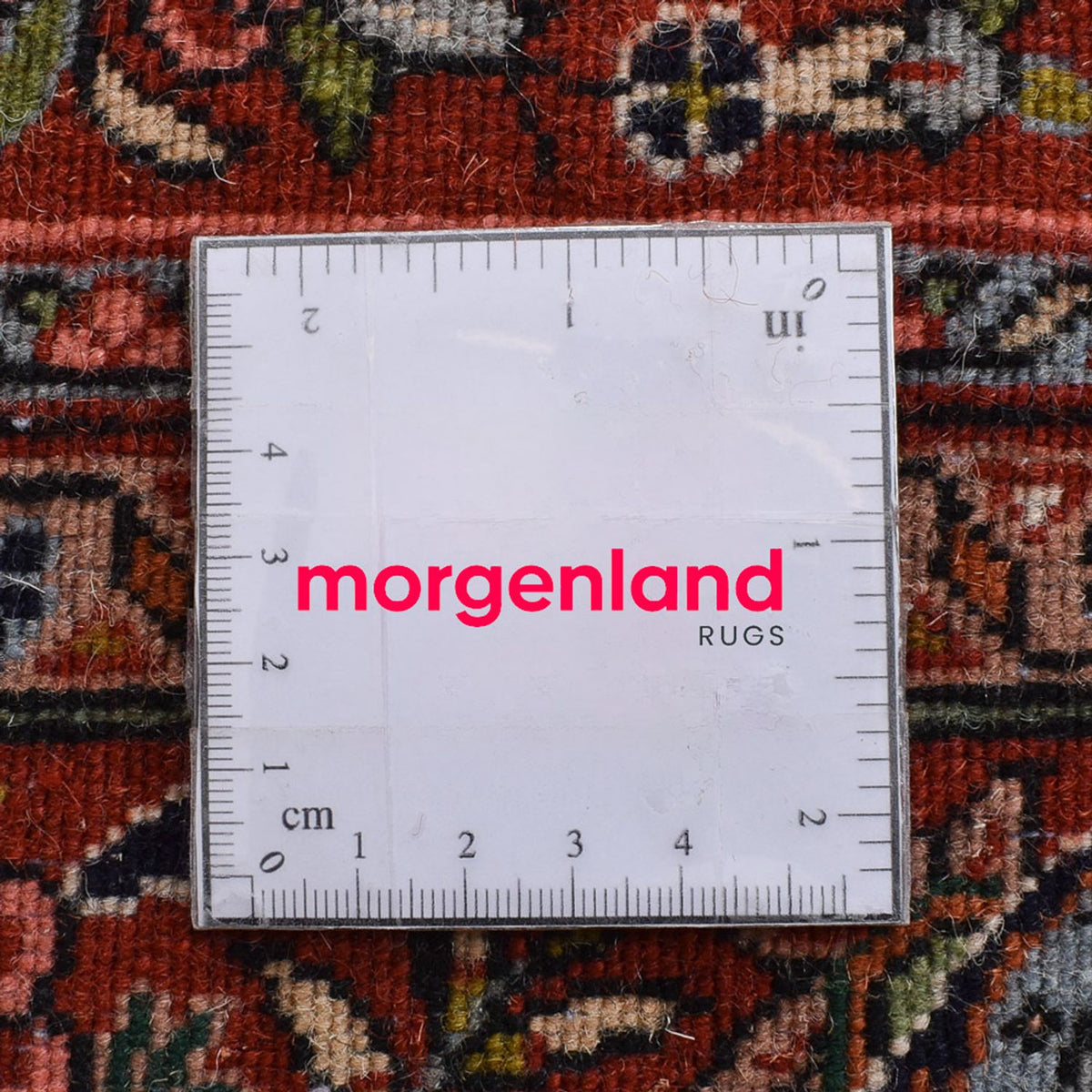 Alfombra persa - Bidjar - 208 x 137 cm - crema