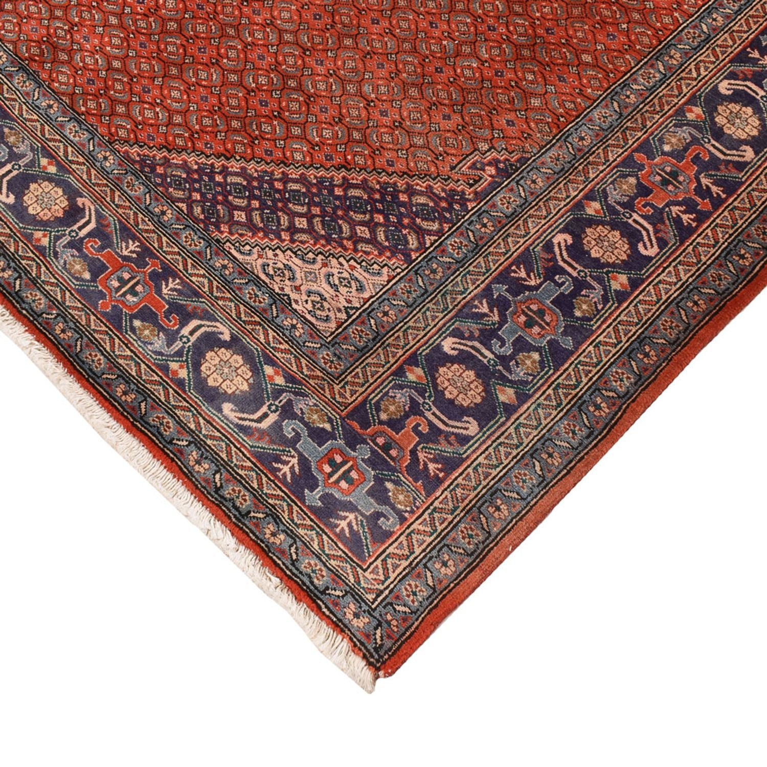Alfombra persa - Nómada - 288 x 199 cm - naranja