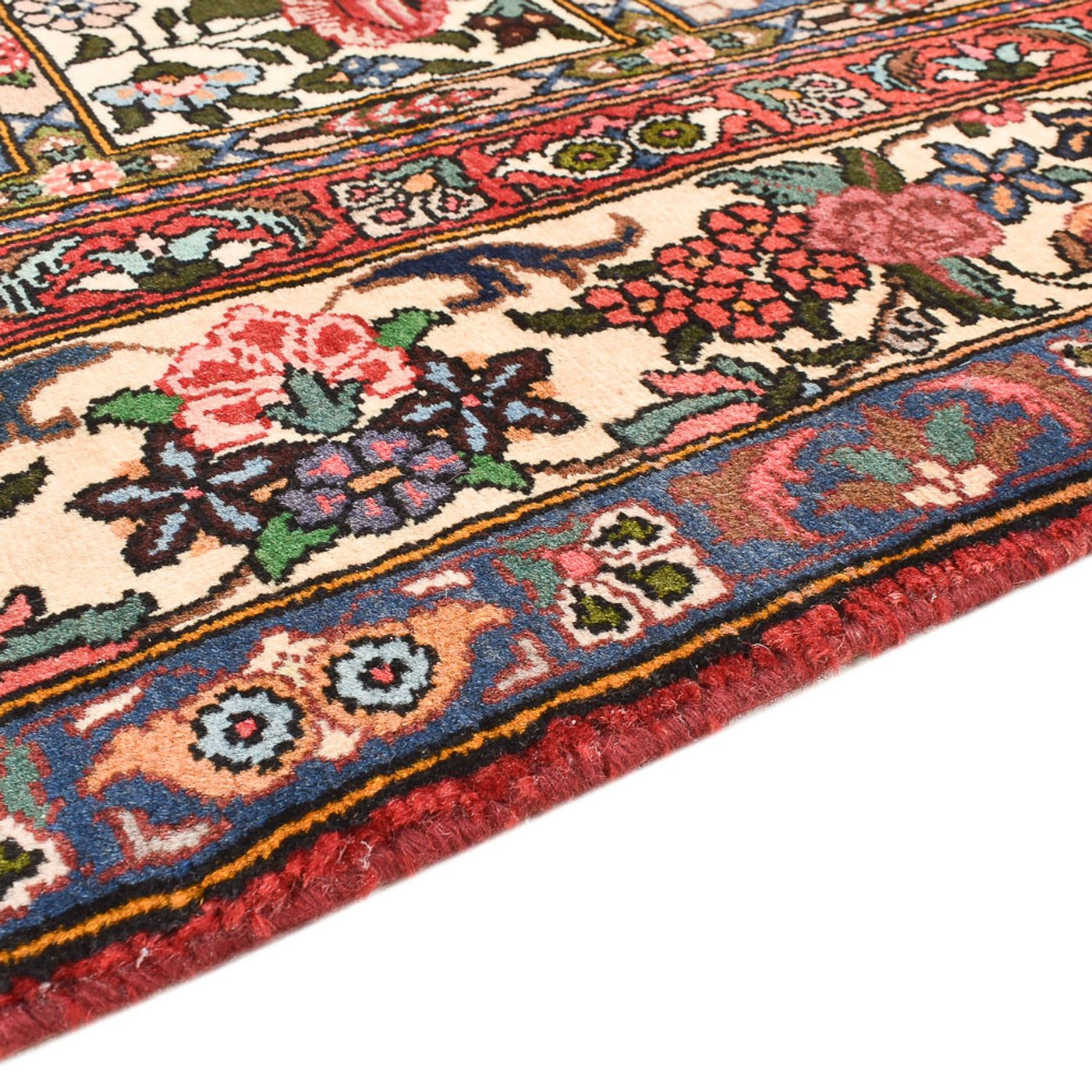 Bakhtiari Alfombra 251x151cm - Alfombra persa