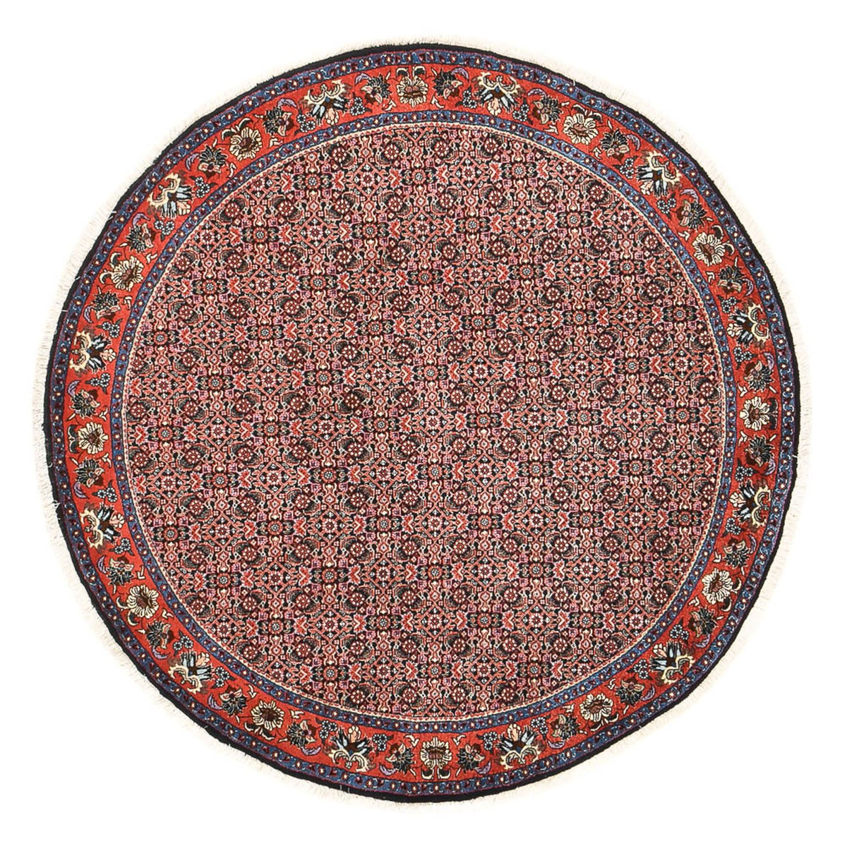 Alfombra persa - Bidjar redondo  - 153 x 153 cm - rojo claro