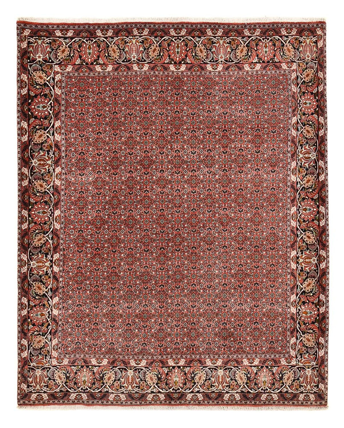 Alfombra persa - Bidjar - 250 x 200 cm - rojo oscuro