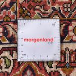 Alfombra de pasillo Alfombra persa - Bidjar - 405 x 207 cm - óxido