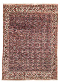 Alfombra persa - Bidjar - 337 x 247 cm - óxido