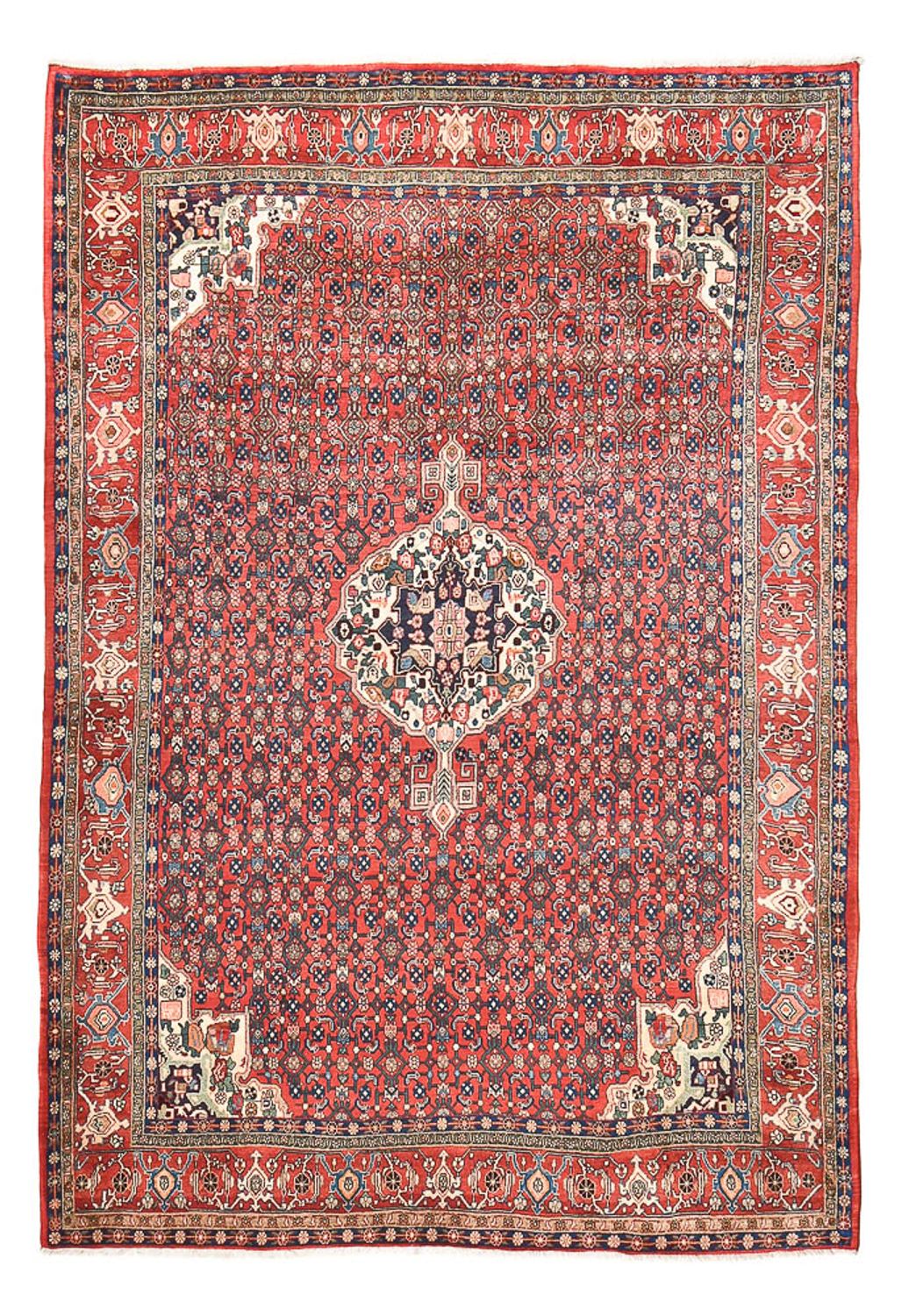 Alfombra persa - Bidjar - 286 x 201 cm - rojo