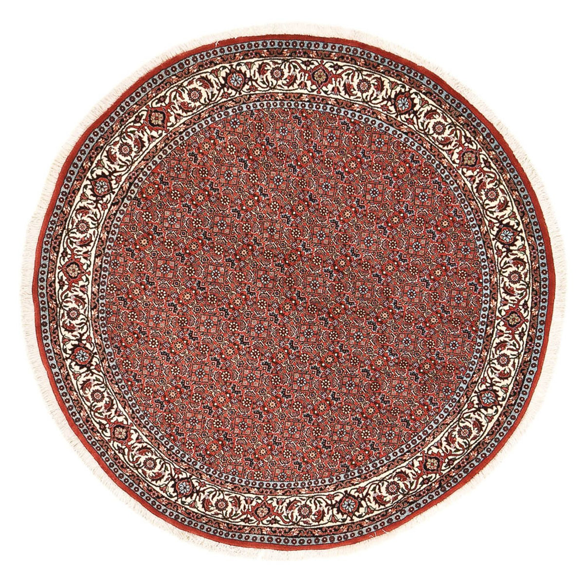 Alfombra persa - Bidjar redondo  - 155 x 155 cm - rojo claro
