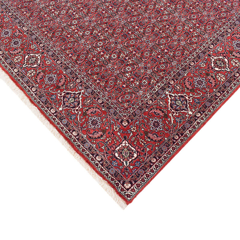 Alfombra persa - Bidjar - 347 x 221 cm - óxido