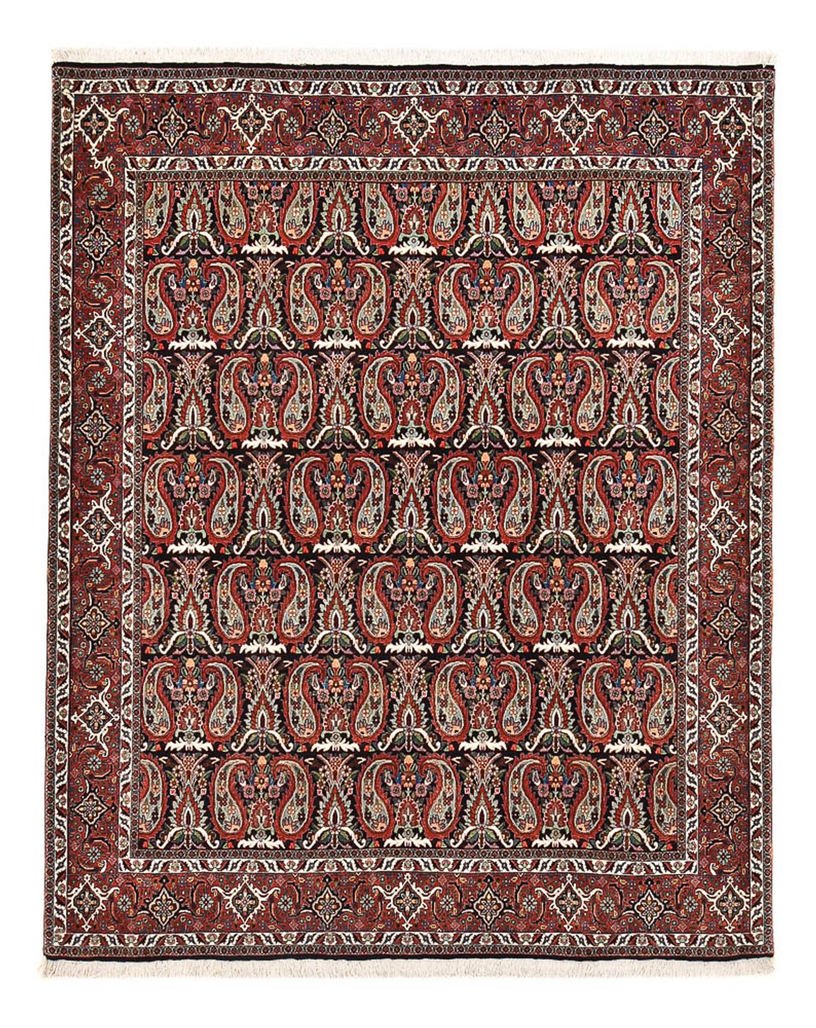 Alfombra persa - Bidjar - 248 x 208 cm - óxido